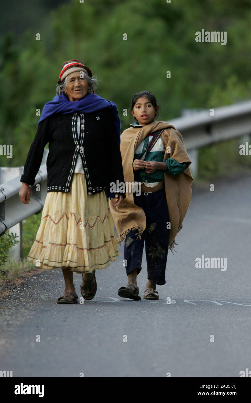 A woman from the indigenous Mixe group in the Mexican State of Oaxaca ...