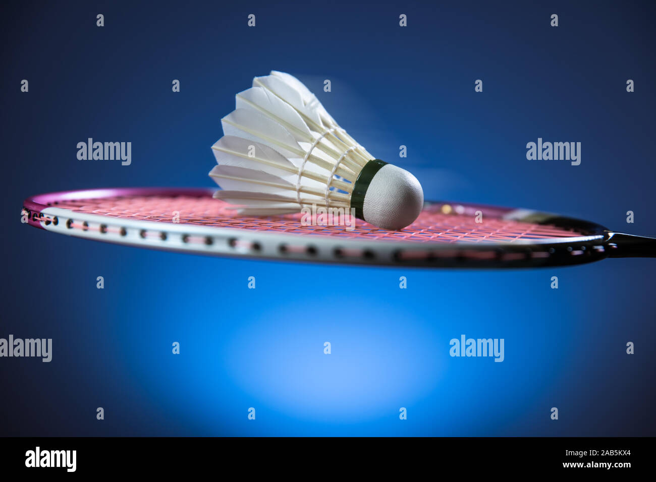 badminton racket and shuttlecock closeup Stock Photo Alamy