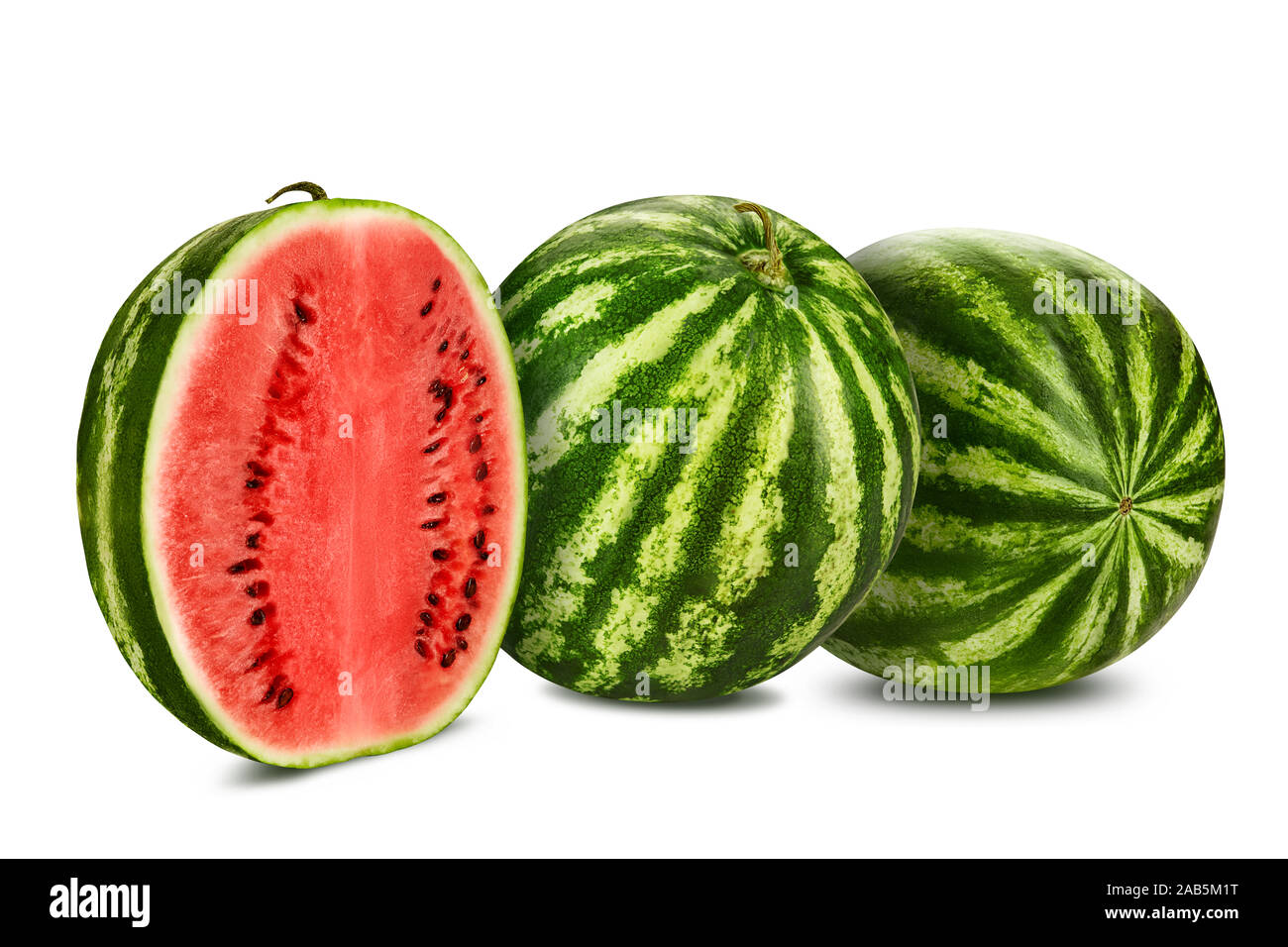 Can Dog Eat Hami Melon