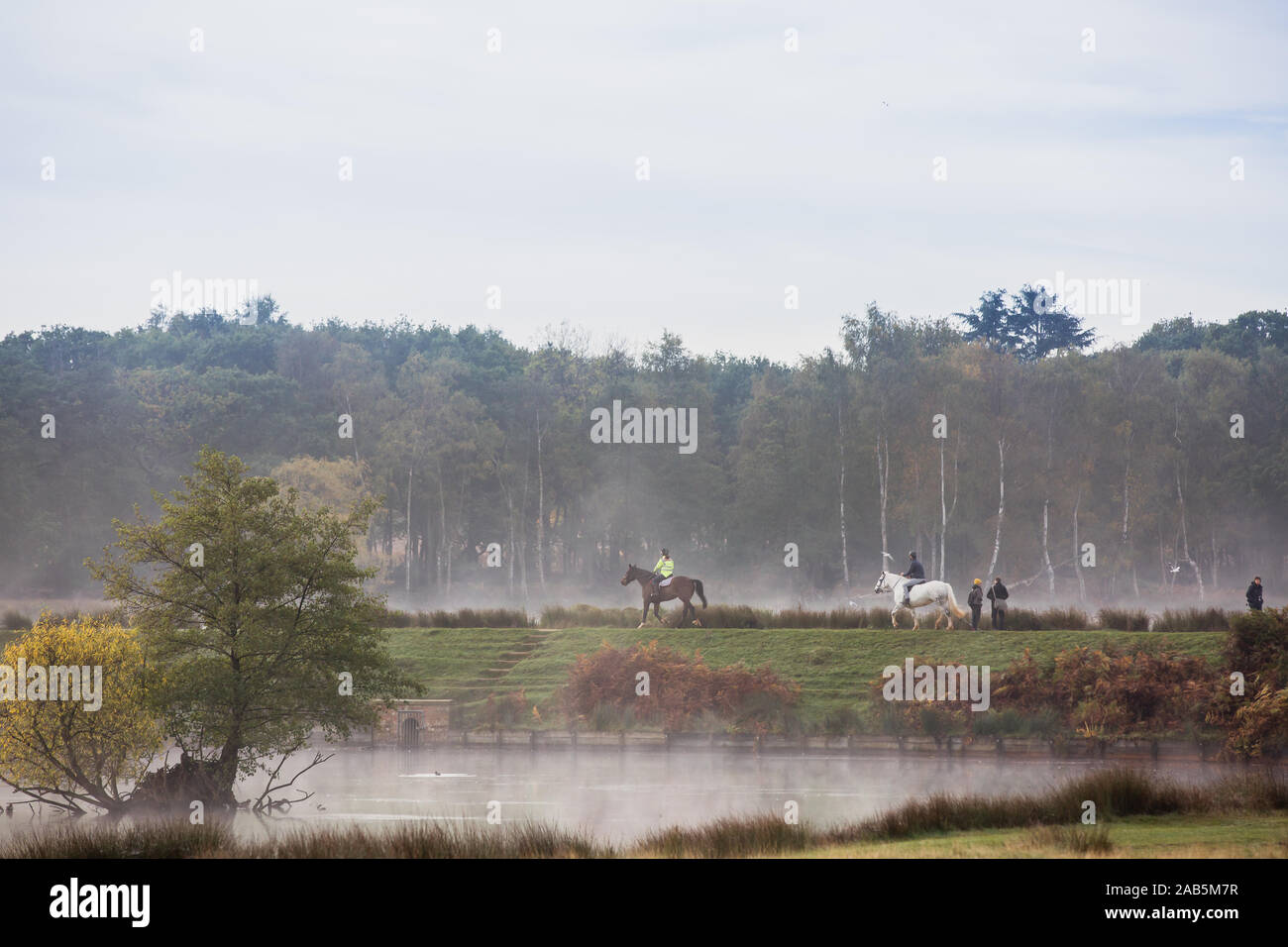 Horses being ridden in a autumnal Richmond Park Stock Photo