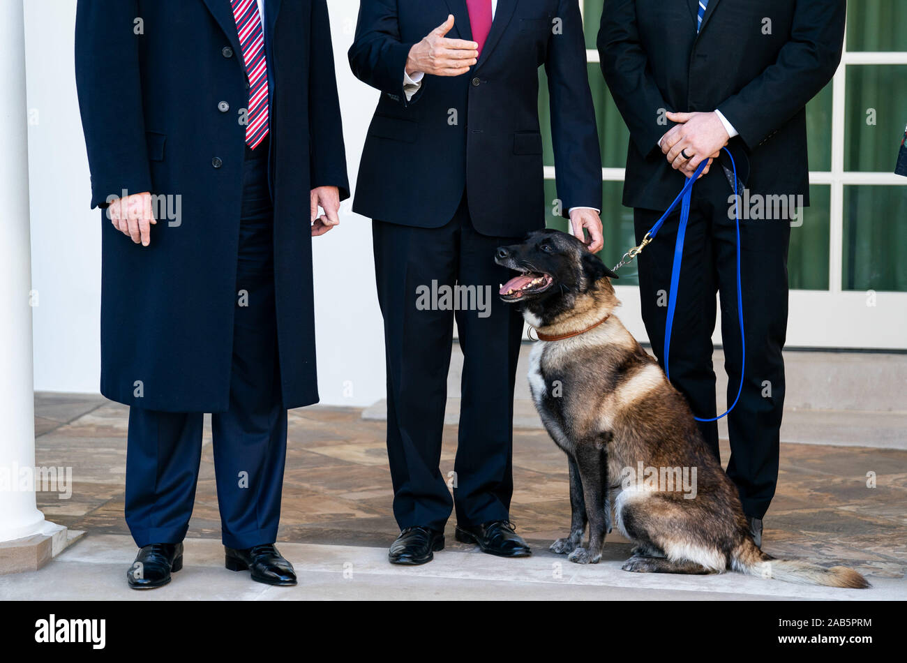 Washington, United States. 25th Nov, 2019. Vice President Mike Pence pets Conan the military working dog as he speaks alongside President Trump, at the White House in Washington, DC on November 25, 2019. The dog Conan assisted in the Baghdadi raid and was awarded a medal by President Trump. Photo by Kevin Dietsch/UPI Credit: UPI/Alamy Live News Stock Photo
