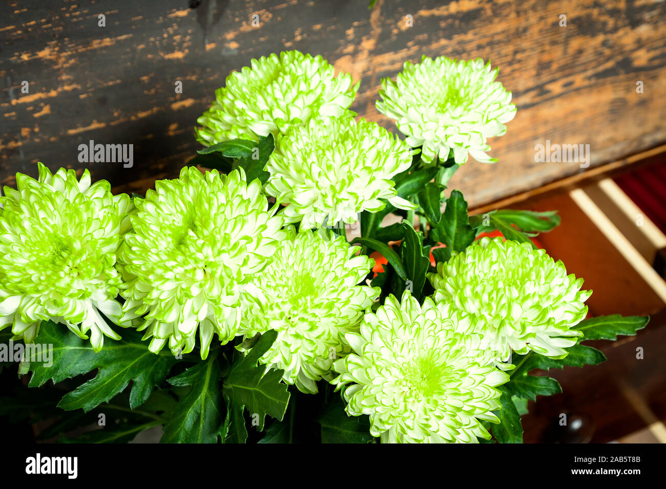 Ein wunderschoen zusammengestelltes Blumenbouquet aus weissen Blumen Stock Photo