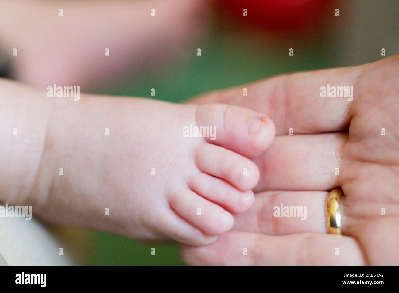 The hand of a month-old baby is in contact with the hand of mom. Posing and massage. Close-up. Stock Photo