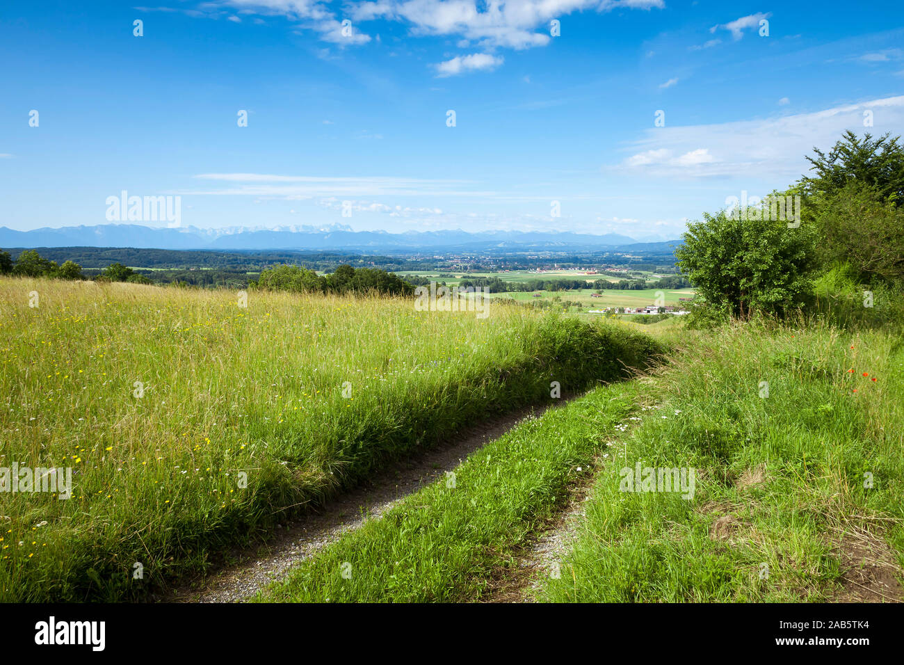 Eine schoene gruene Wiese unter blauem Himmel Stock Photo - Alamy