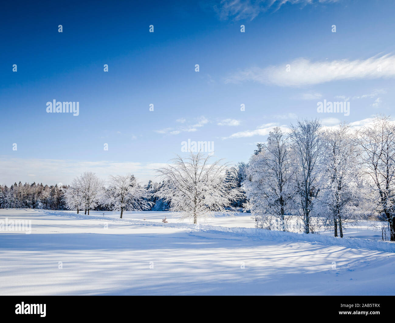 Eine wunderschoene winterliche Szenerie Stock Photo