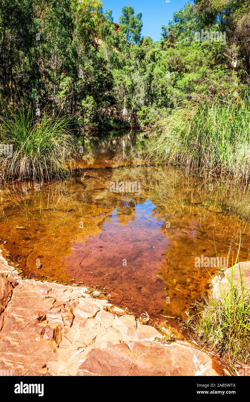 Das schoene Dales Gorge in Australien Stock Photo