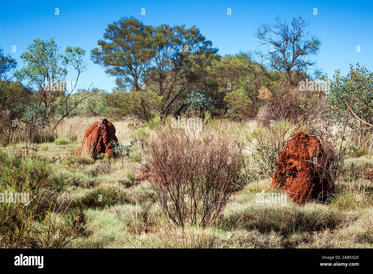 Gigantische Termitenbauten in Australien Stock Photo