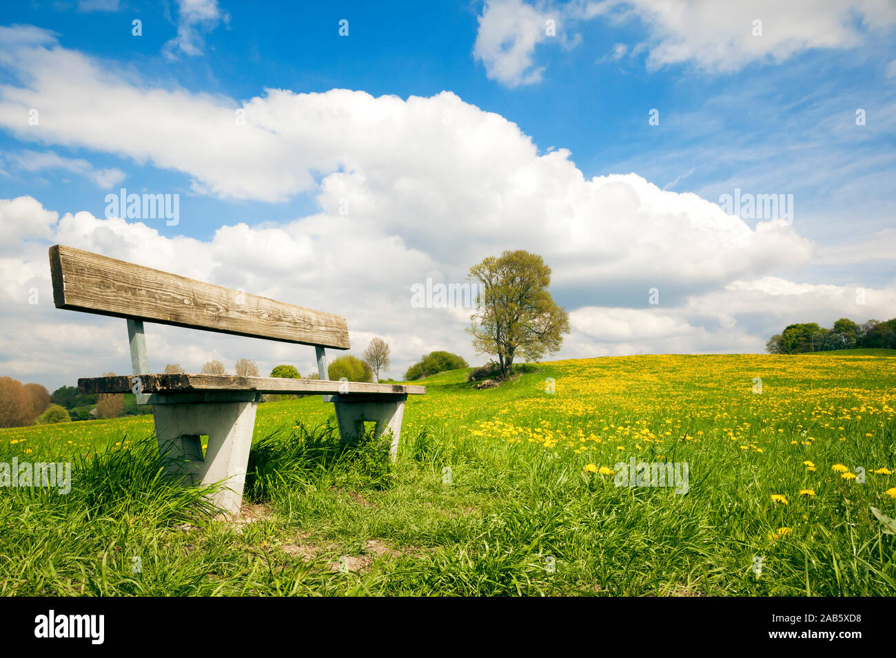 Eine schoene Sitzbank auf einer Blumenwiese Stock Photo