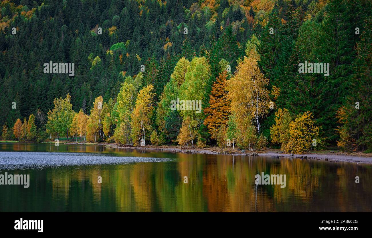 Fall Foliage Reflected On A Lake With A Glass Like Mirror Water