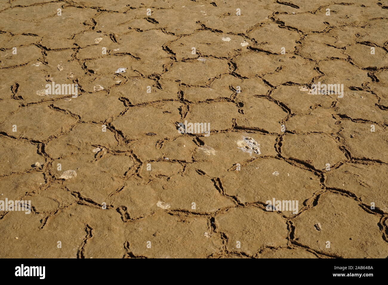Dried cracked patterns in the mud earth Stock Photo