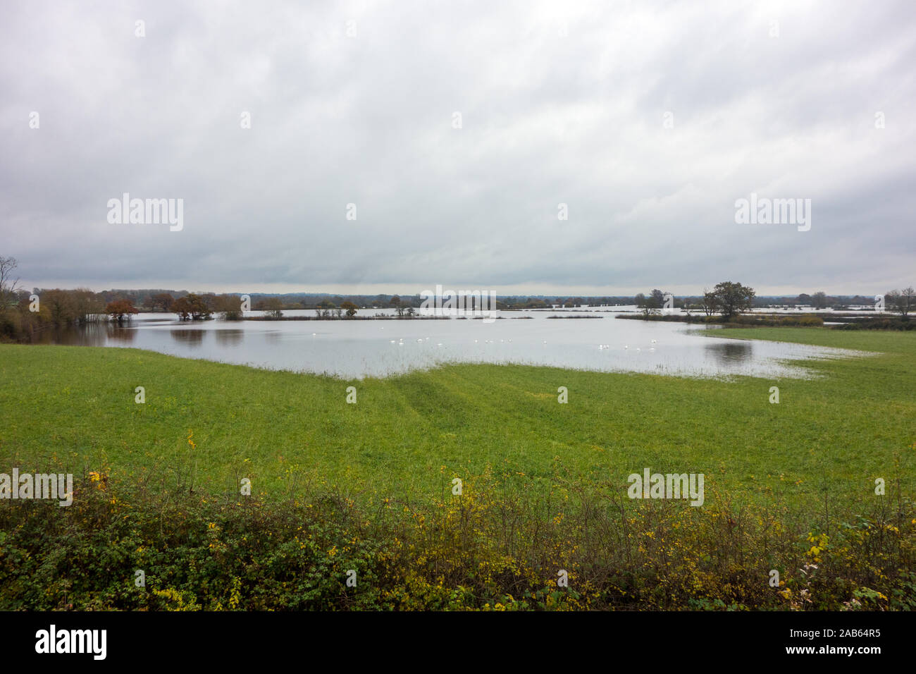 Flooded Cheshire farmland during the storms and heavy rain of Autumn 2019 at the flood plains on the English Welsh border at Farndon and Holt Stock Photo