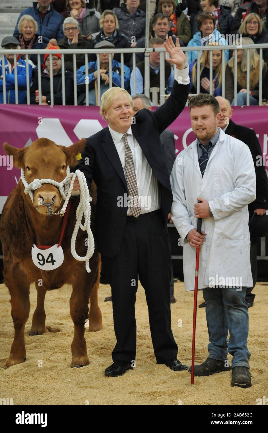 Llanelwedd, Builth Wells, Powys, UK,  25th November 2019. Prime Minister Boris Johnson arrives in the cattle ring during a visit. Credit: Barry Bullough/Alamy Live News Stock Photo