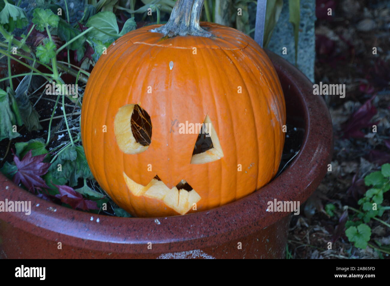 Jack O'Lantern carved from a pumpkin for Halloween. Stock Photo