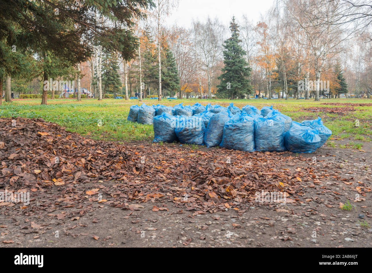 https://c8.alamy.com/comp/2AB66JT/many-blue-plastic-bags-with-garbage-near-pile-of-fallen-leaves-lies-under-trees-in-city-park-2AB66JT.jpg