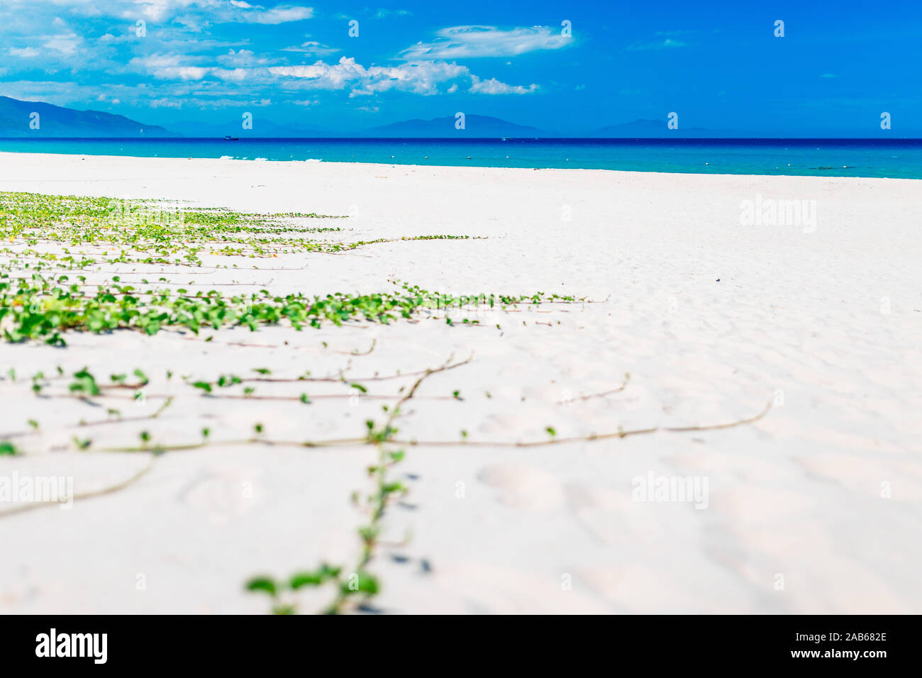 Empty sand beach with blue sea and blue sky background. Summer Vacation ...
