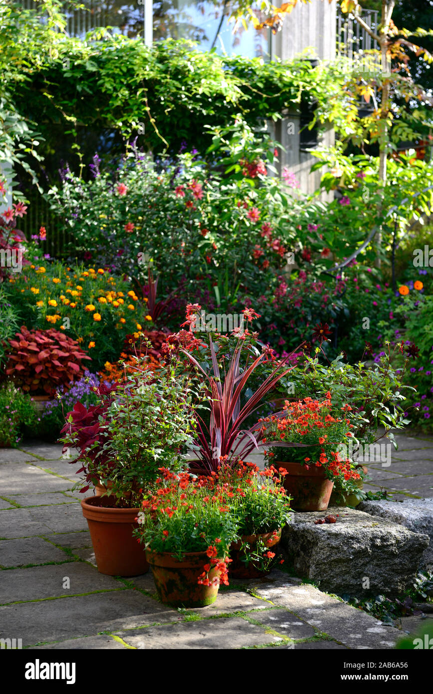 Container Gardening Pot Pots Containers Patio Patio Planters