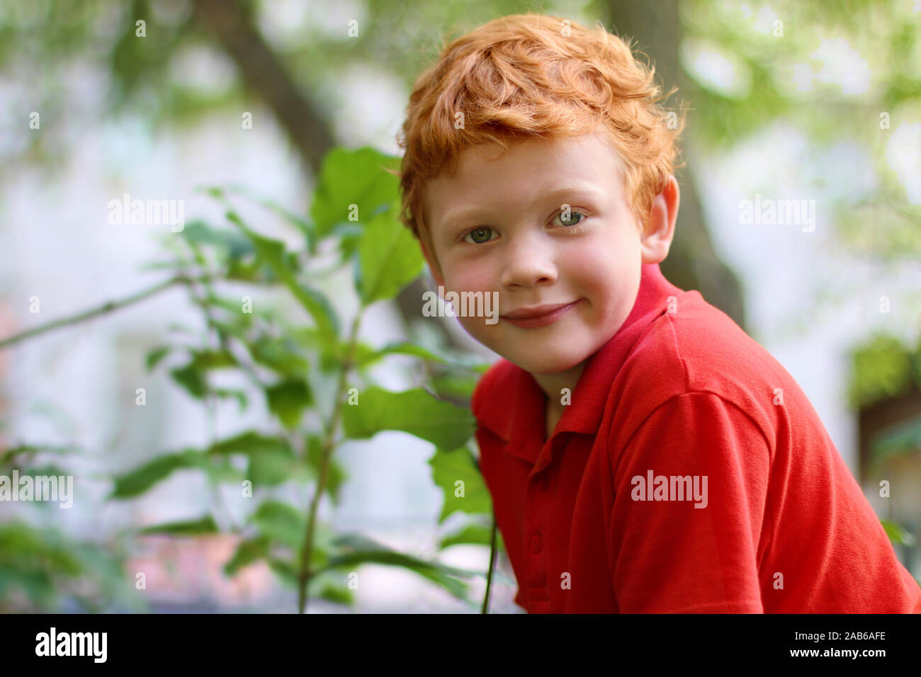 European boy with green eyes looking directly at the camera, close-up. Funny little child with curly ginger hair and freckles sitting on a tree. Fashi Stock Photo