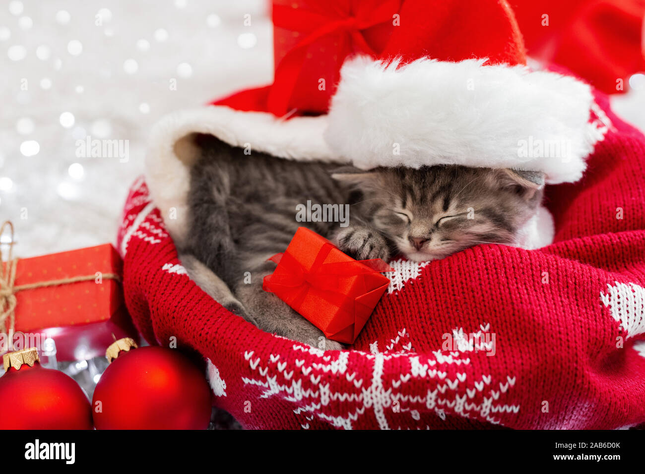 Christmas Presents Concept Christmas Cat Wearing Santa Claus Hat Holding Gift Box Sleeping On Plaid Under Christmas Tree Adorable Little Tabby Stock Photo Alamy