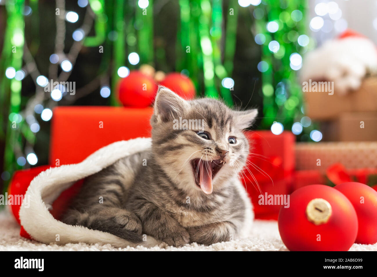 funny christmas cats