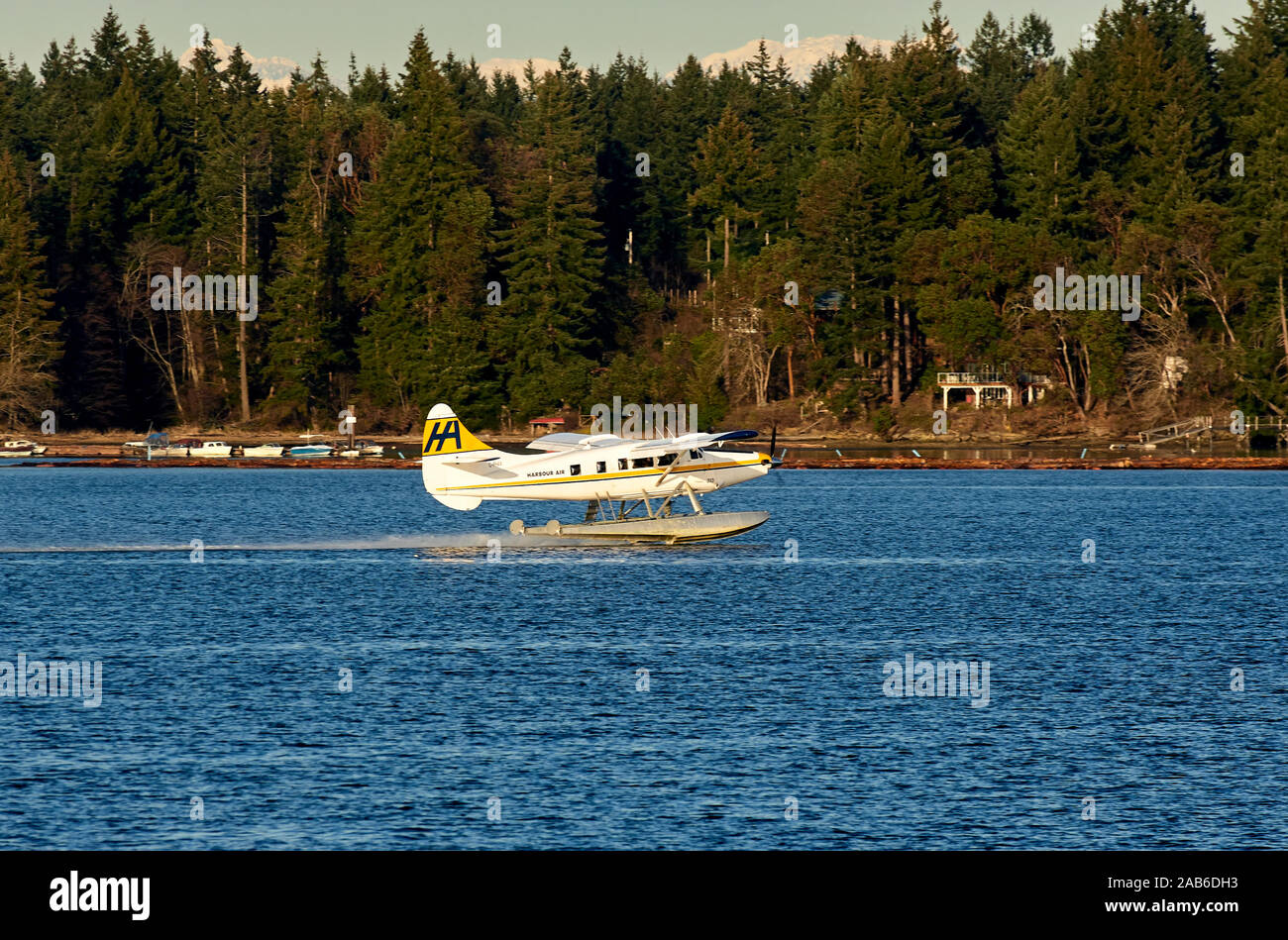 Harbour Air Float plane takes off, Nanaimo harbour, British Columbia