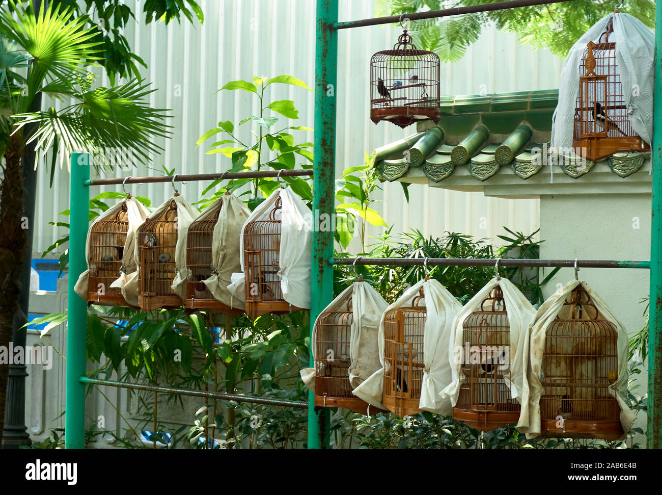 Songbirds in cages at the Bird Garden, Mong Kok (Mongkok), Hong Kong, Hong Kong Stock Photo