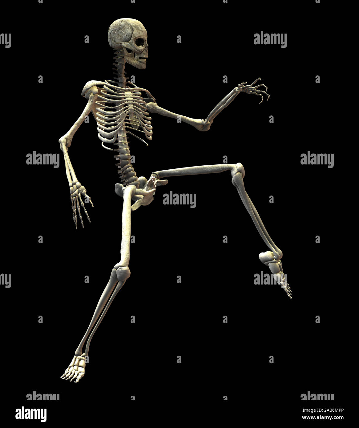 An illustration of a skeleton isolated on a black background Stock ...
