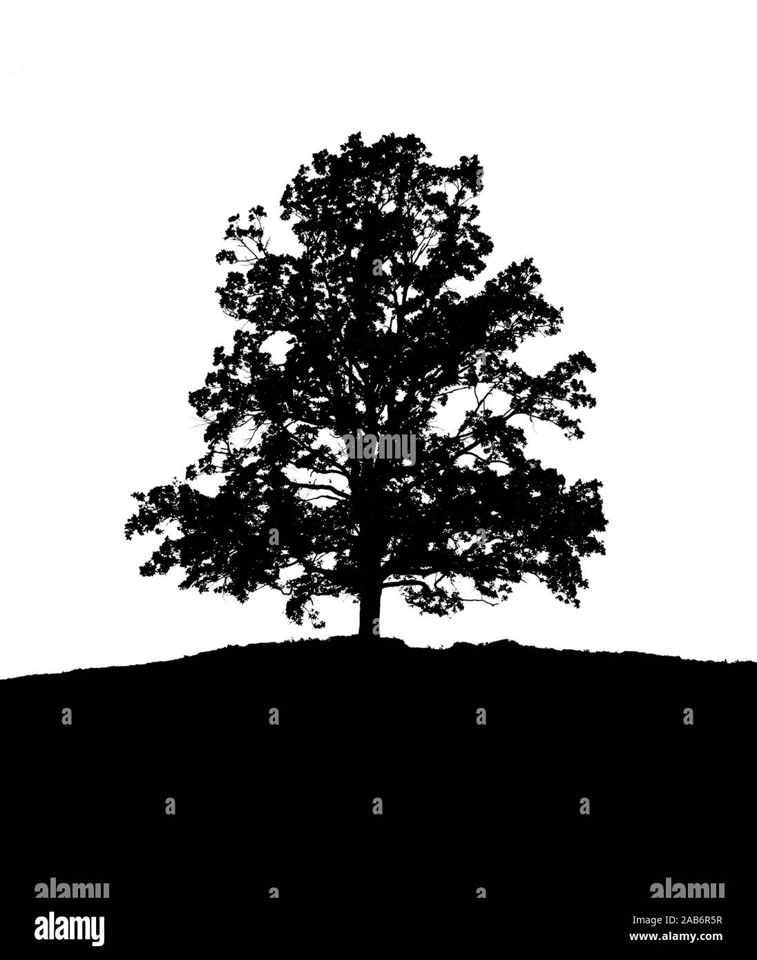 An illustration of a lonely black and white tree Stock Photo - Alamy