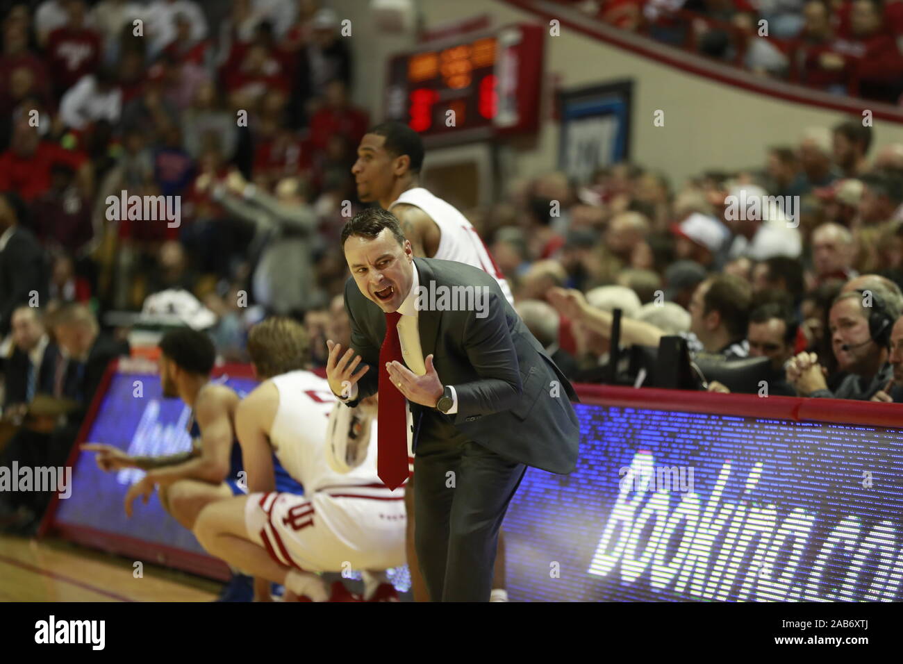 Bloomington, Indiana, USA. 25th, Nov., 2019. Indiana University coach Archie Miller coaches against Louisiana Tech during an NCAA college basketball game at IU's Assembly Hall in Bloomington, Indiana, USA. Credit: Jeremy Hogan/Alamy Live News. Stock Photo