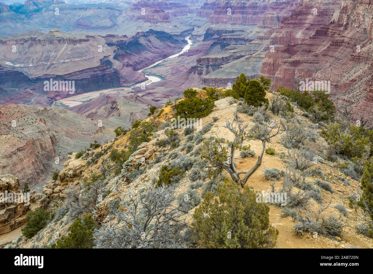 pic Grand Canyon Satellite View Of Arizona Wildfires https www alamy com the grand canyon in northern arizona image333913461 html