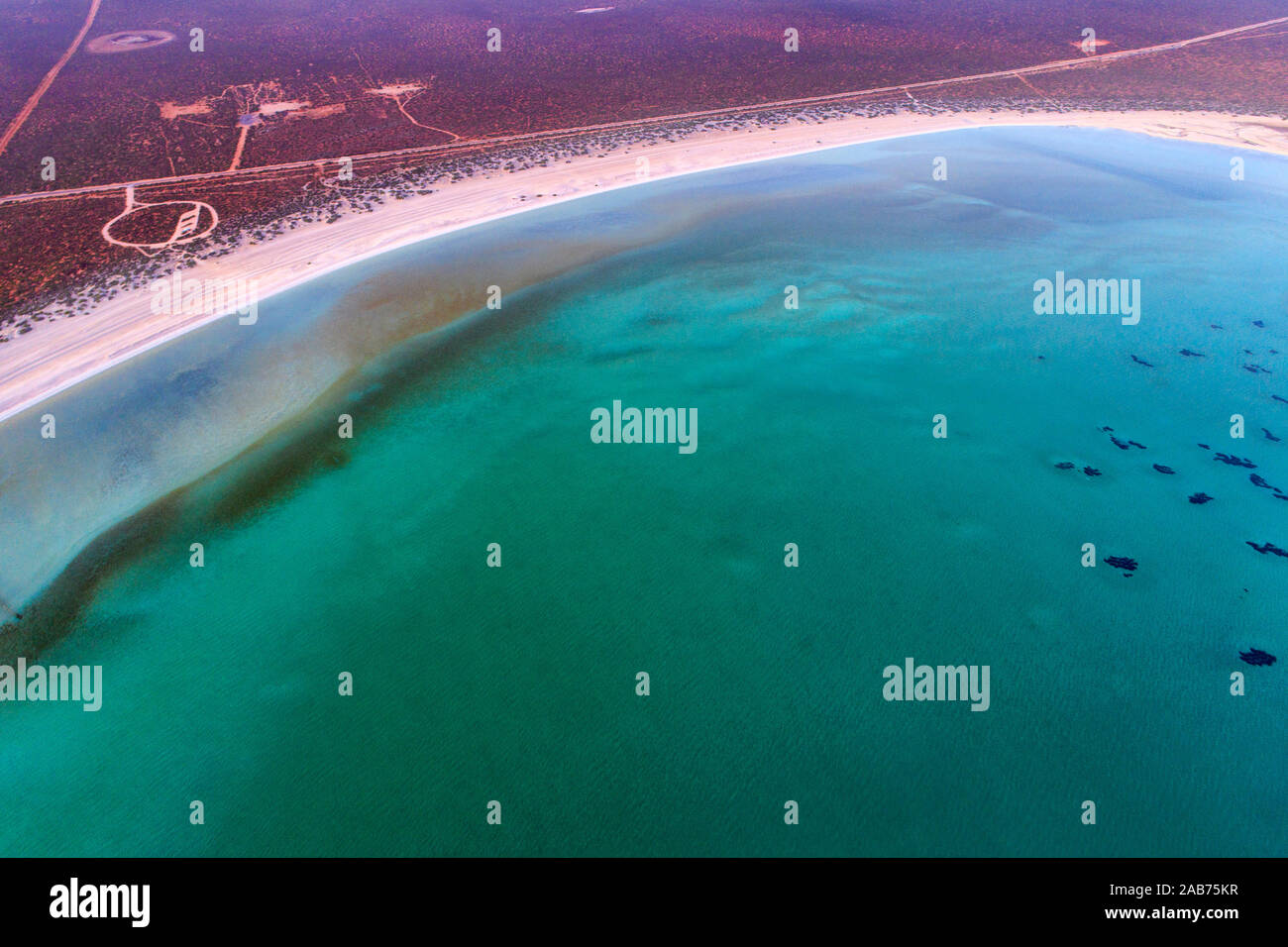 Aerial view of Shell Beach world heritage area, Peron Peninsula, Northwest Australia, Western Australia Stock Photo