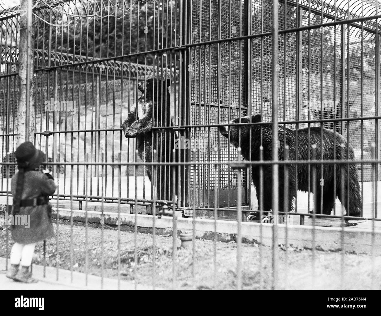Vintage Zoo High Resolution Stock Photography and Images - Alamy