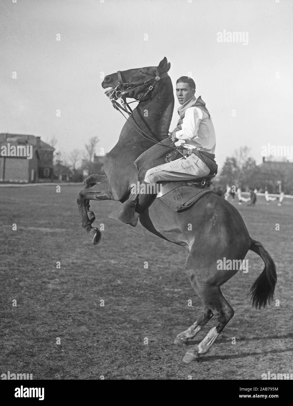 Rearing horse Black and White Stock Photos & Images - Alamy