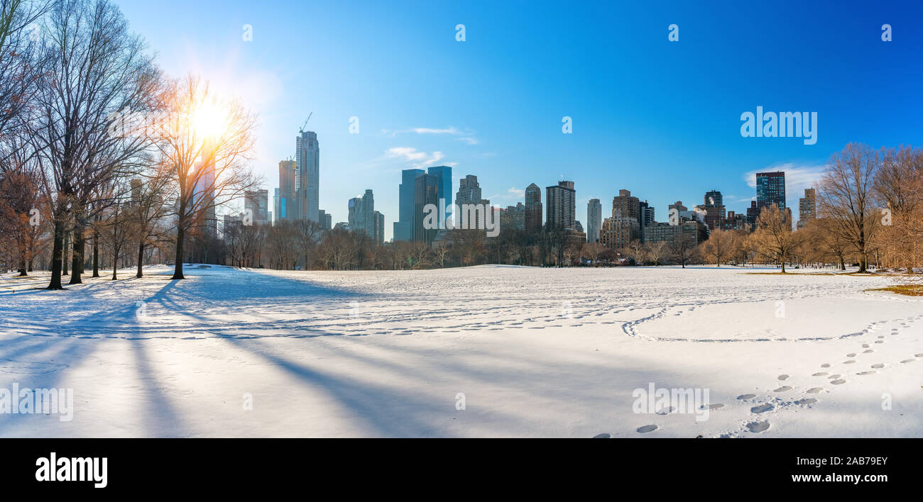 NY Central park at winter day Stock Photo