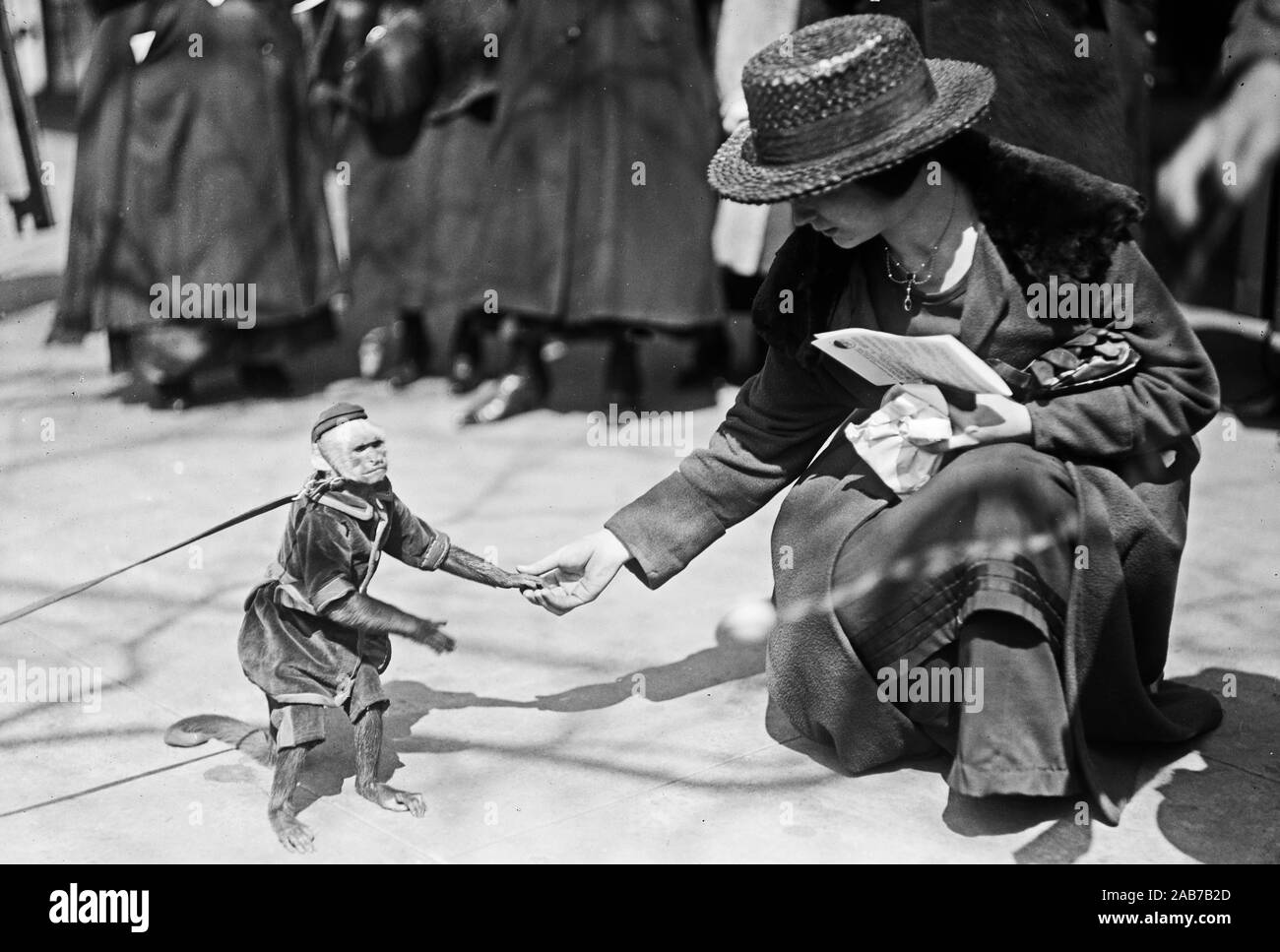 Woman with what looks to be an organ grinder's monkey ca. 19151923 Stock Photo Alamy
