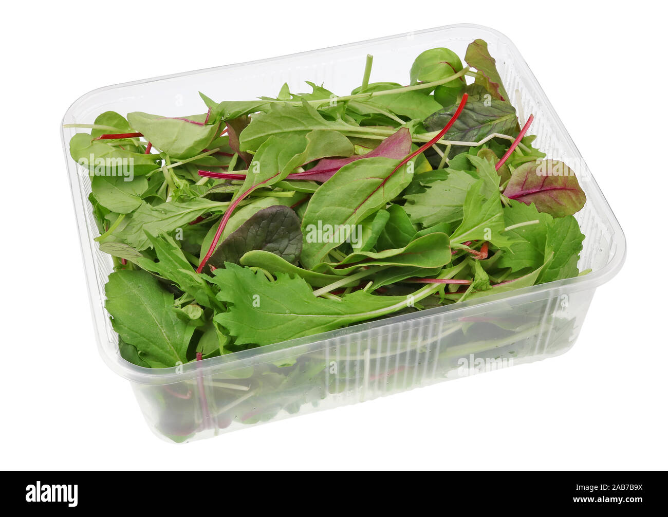 Download Fresh Arugula In Plastic Container High Resolution Stock Photography And Images Alamy