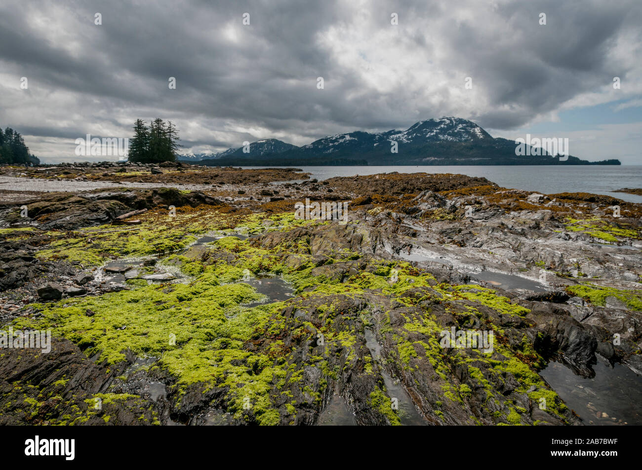 Landscape showing intertidal zone of Rotary Beach, Revillagigedo Channel and Annette Island (on horizon), Ketchikan, Alaska, USA. Stock Photo