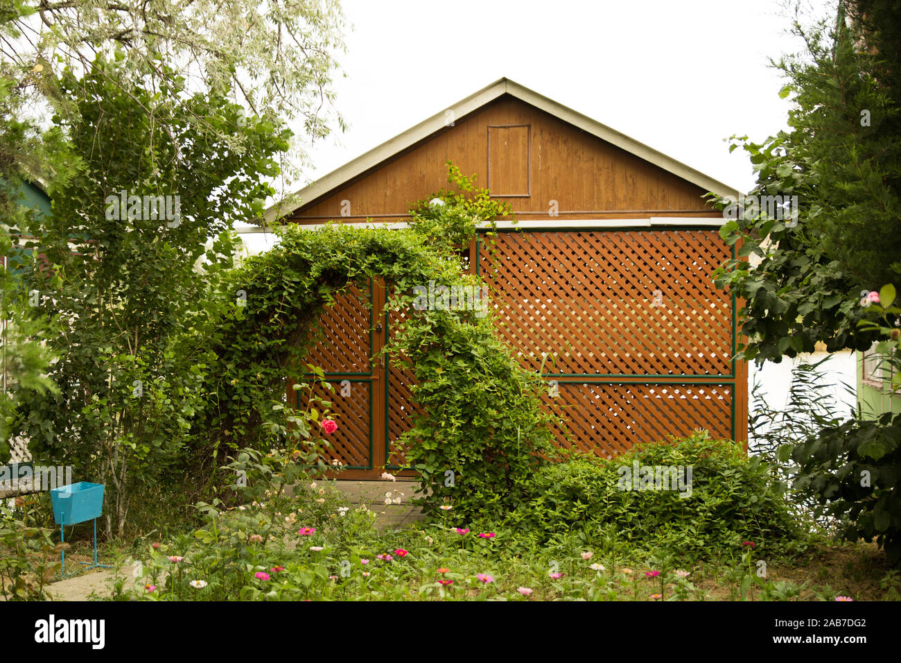 Wooden pergola in nature. Landscape design Stock Photo