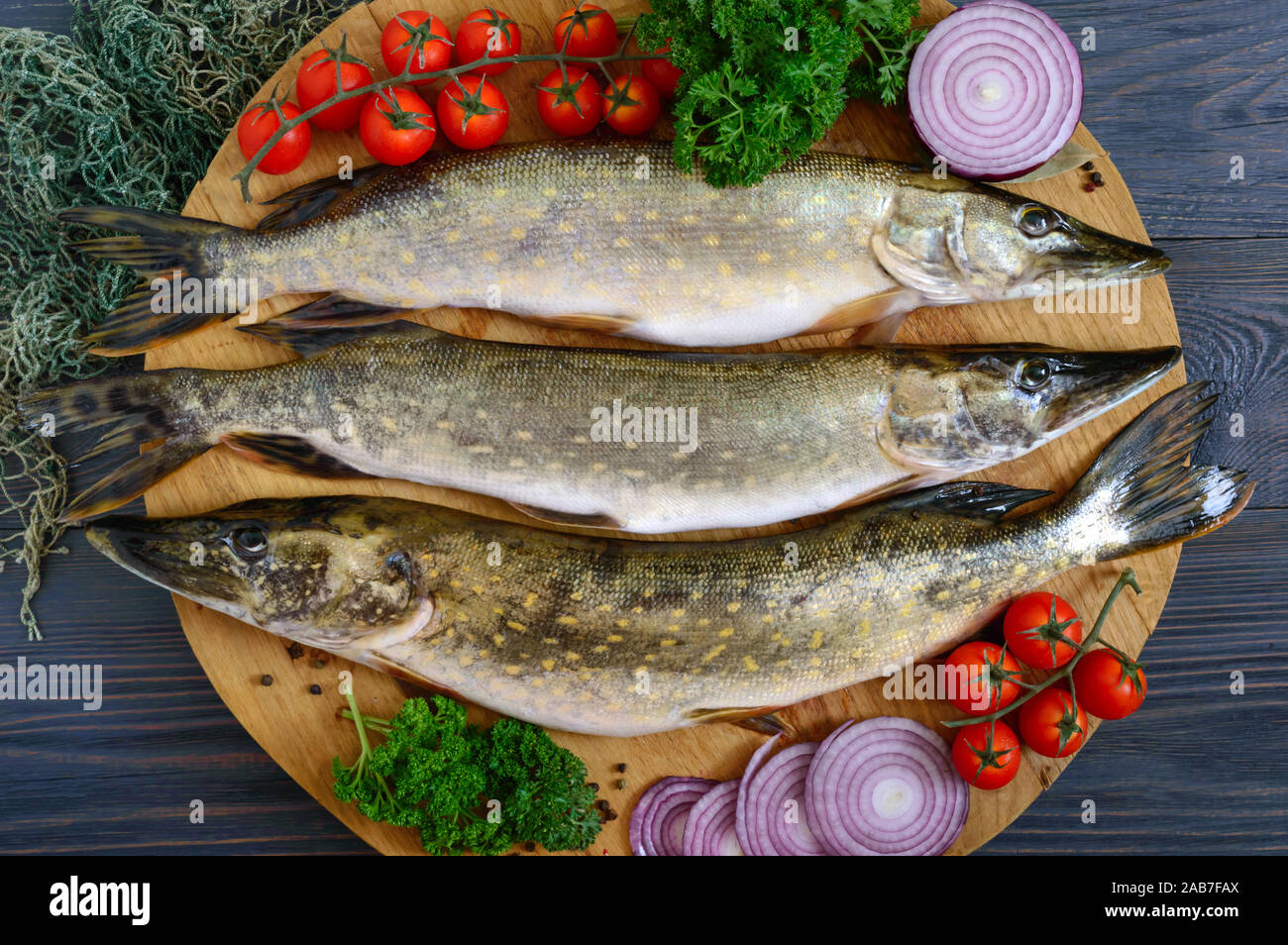 Freshwater Pike Fish and Tape-measure on Wooden Background. Stock Photo -  Image of scales, outdoor: 123722494