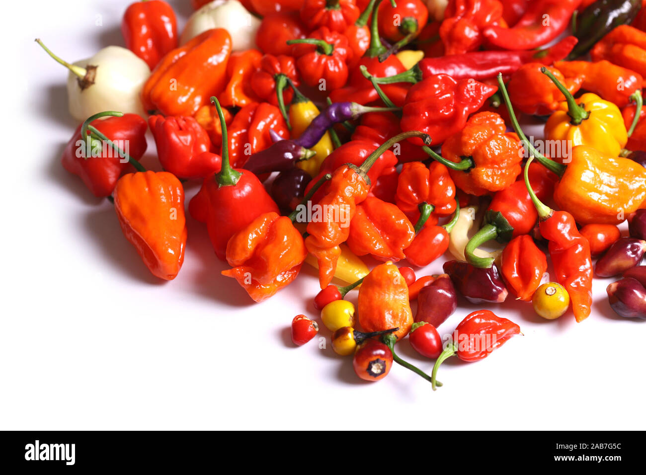 Various chili peppers isolated on white background Stock Photo - Alamy