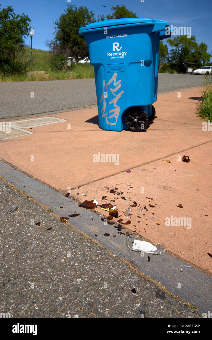 Broken glass bottle scattered on the pavement just feet away from a garbage bin at a public park