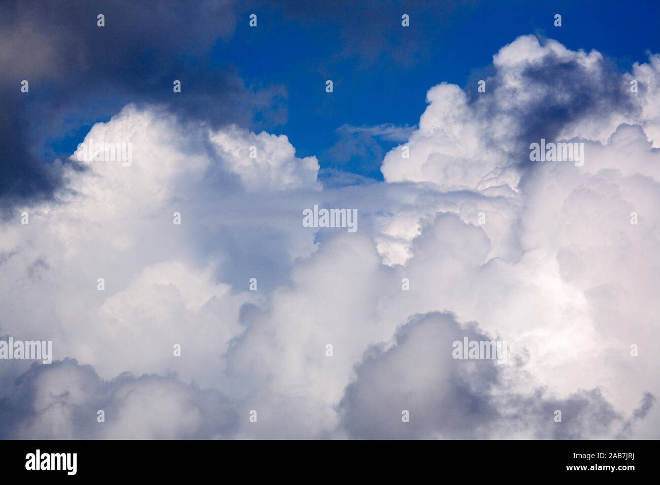 Dichte weisse und graue Quellwolken vor blauem Himmel Stock Photo