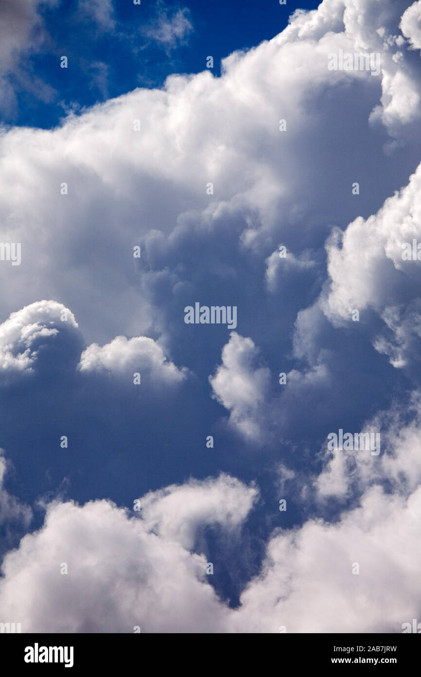 Dichte weissgraue Quellwolken vor blauem Himmel Stock Photo