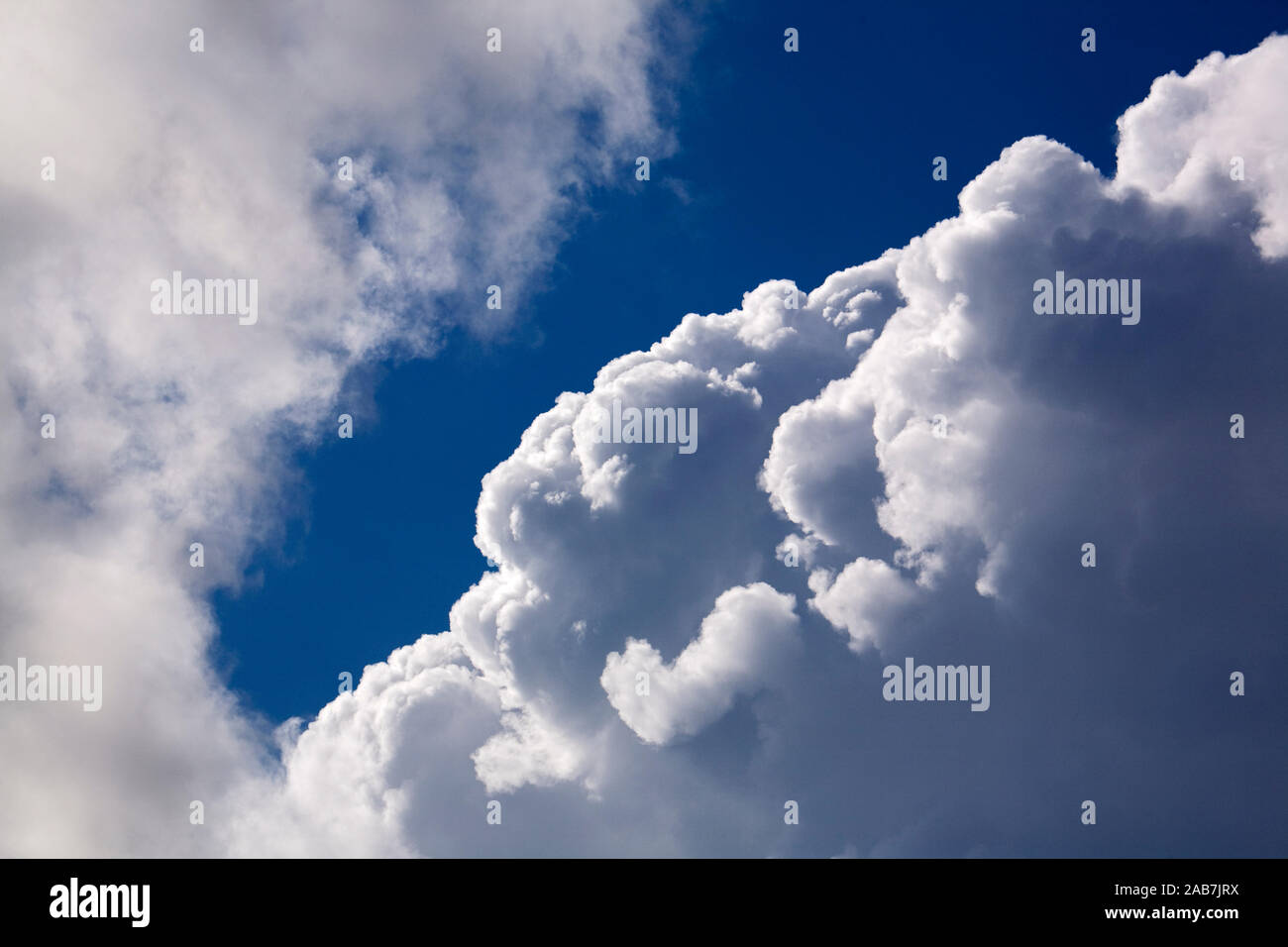 Dichte weissgraue Quellwolken vor blauem Himmel Stock Photo