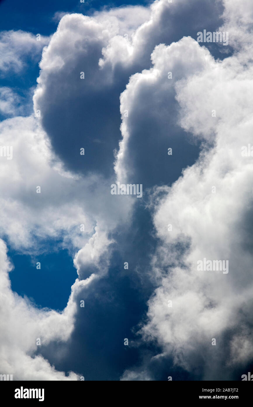 Schwarze Regenwolke und sich auftuermende dichte weisse Quellwolken vor blauem Himmel Stock Photo