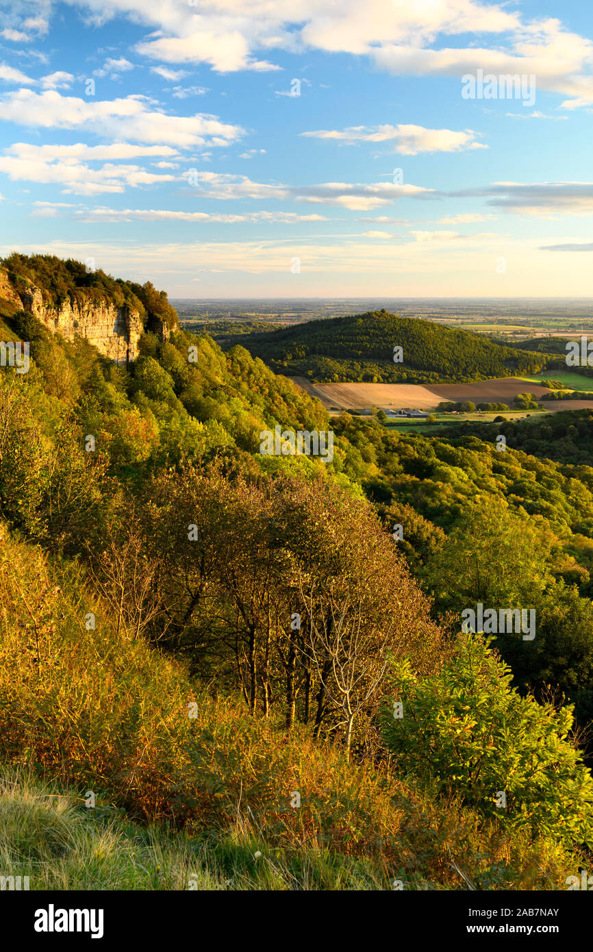 Beautiful scenic long-distance view (Whitestone Cliff, Hood Hill, sunlit countryside & evening blue sky) - Sutton Bank, North Yorkshire, England, UK Stock Photo