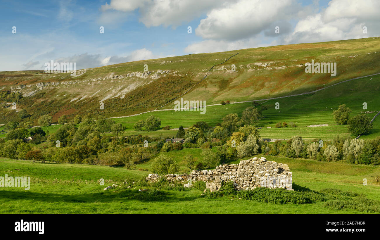 Isolated ruins of old sunlit field barn wall in scenic hillside valley, farmland & upland hills - Arncliffe, Littondale, Yorkshire Dales, England, UK Stock Photo