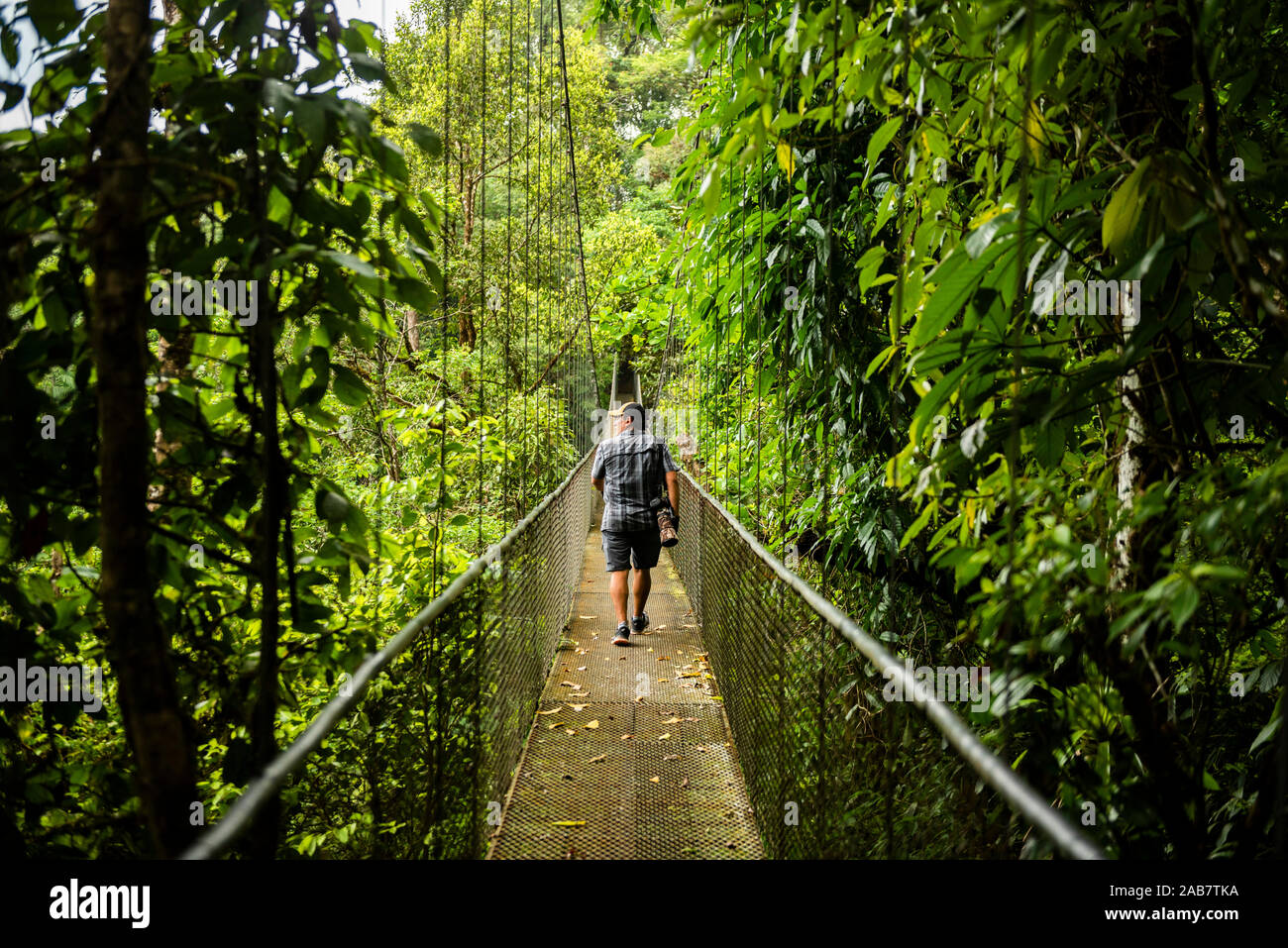Hanging bridges in cloud forest at San Luis, Alajuela Province, Costa Rica, Central America Stock Photo