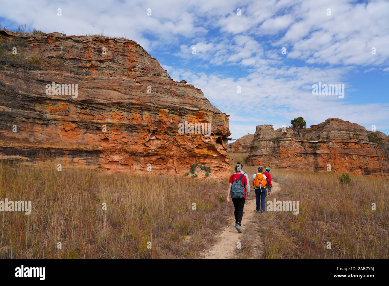 Eroded sandstone rock formations at Isalo National Park, Fianarantsoa province, Ihorombe Region, Southern Madagascar, Africa Stock Photo