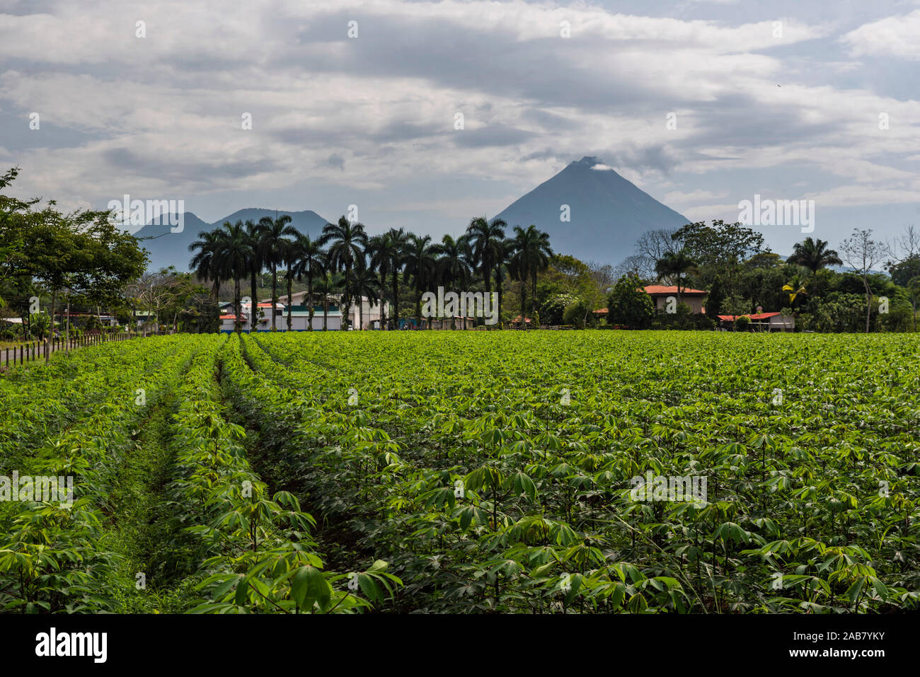 Arenal Volcano, seen from close to La Fortuna, Alajuela Province, Costa Rica, Central America Stock Photo