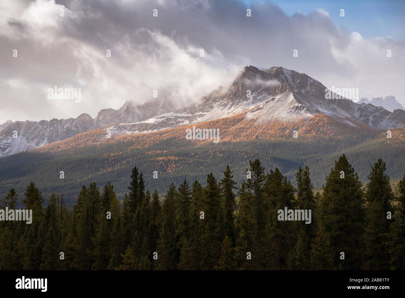 Mountain range at Morant's Curve in autumn foliage, Banff National Park, UNESCO World Heritage Site, Alberta, Rocky Mountains, Canada, North America Stock Photo